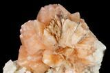 Stilbite Crystals on Sparkling Quartz Chalcedony - India #169009-2